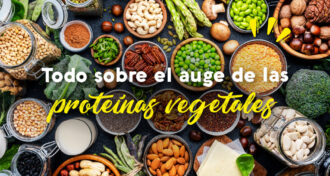 comida preparada con proteína vegetal